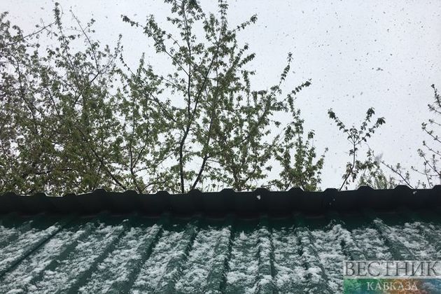 Москвичей предупредили о снеге с дождем во вторник