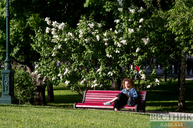 Весеннее цветение в Москве (фоторепортаж)