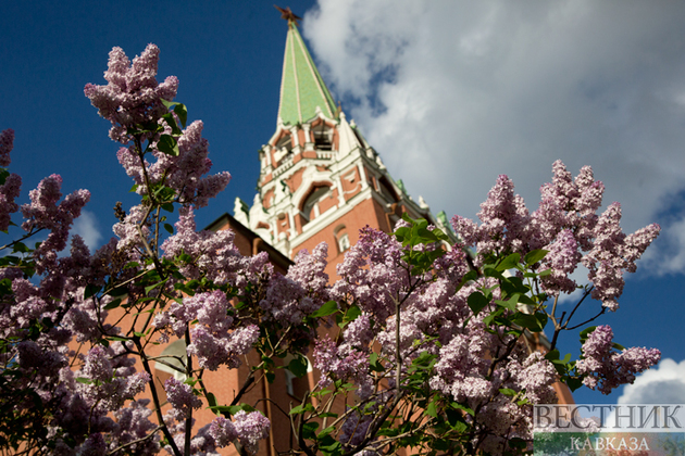 Весеннее цветение в Москве (фоторепортаж)