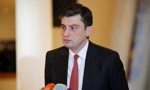 Гахария требует начать расследование против Кобахидзе 