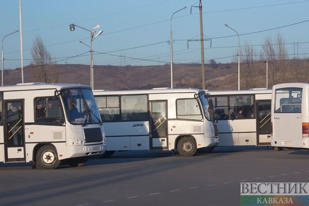 Автобусы из Узбекистана выехали на улицы Бишкека