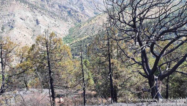 "Хосровский лес" потушили в Армении (ФОТО)