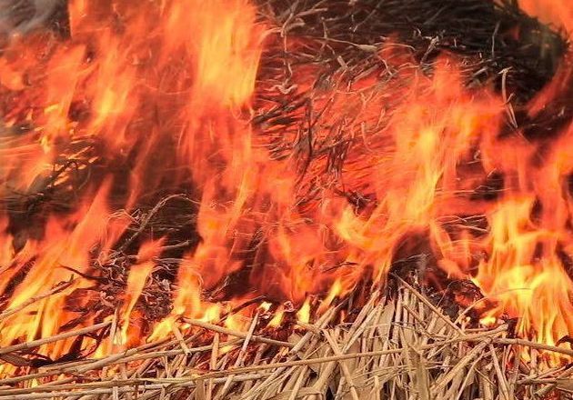 Пожар уничтожил 400 тонн сена в Казахстане