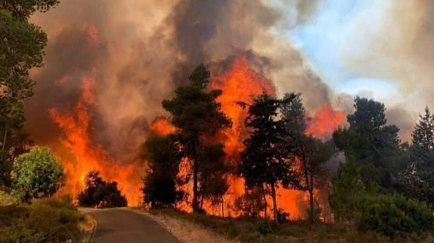 Лесные пожары добрались до окрестностей Иерусалима - СМИ