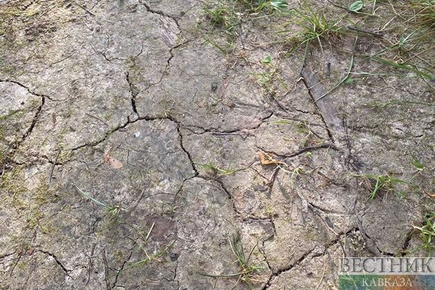 Краснодарский край ждет аномально засушливый август