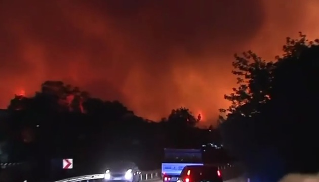 Лесной пожар вплотную подобрался к ТЭЦ в Турции