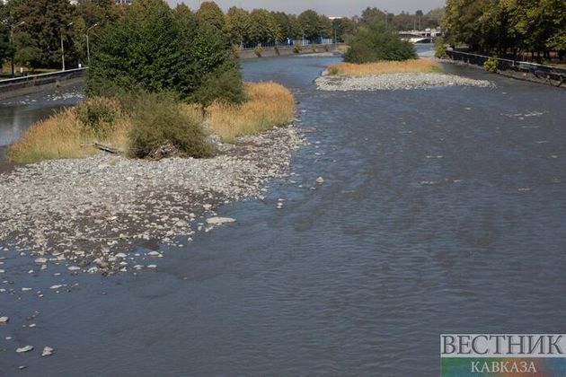 Фауну Дона пополнят миллионы мальков русского осетра