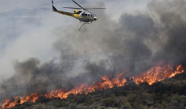 В Турции продолжают тушить пять лесных пожаров