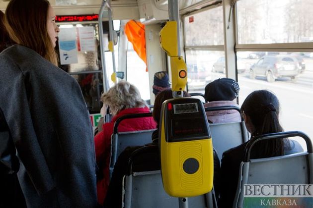 Автобусы запустили из аэропорта Геленджика в Новороссийск и Анапу