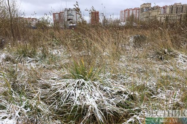 Заморозки пришли в Центральную Россию