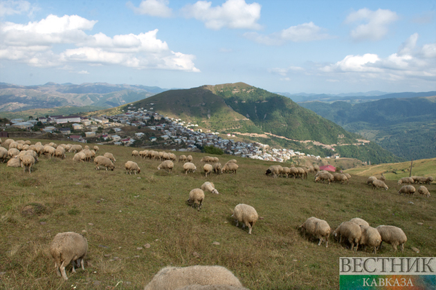 Горы Дагестана (фоторепортаж)