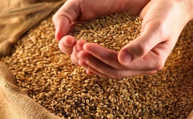 Аграрии КЧР удвоили урожай собранного зерна