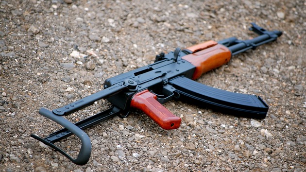 Грузинские полицейские задержали шесть владельцев оружия