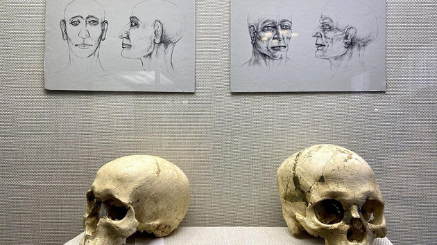 В Краснодаре открылась археологическая выставка
