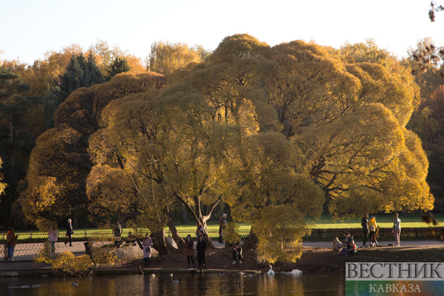 Золотая осень в Ботаническом саду (фоторепортаж)