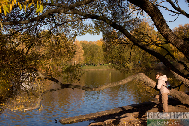 Золотая осень в Ботаническом саду (фоторепортаж)