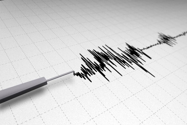 Запад Грузии потрясло землетрясение