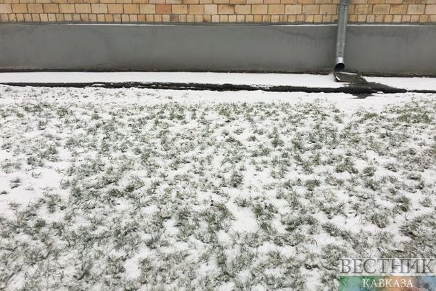 Синоптики предупредили москвичей о снежном заряде