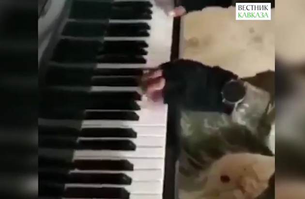Воин ВС Азербайджана играет на фортепьяно на освобожденной земле (ВИДЕО) 