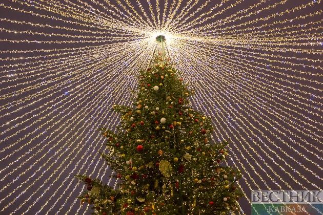 В Пятигорске обокрали новогоднюю елку