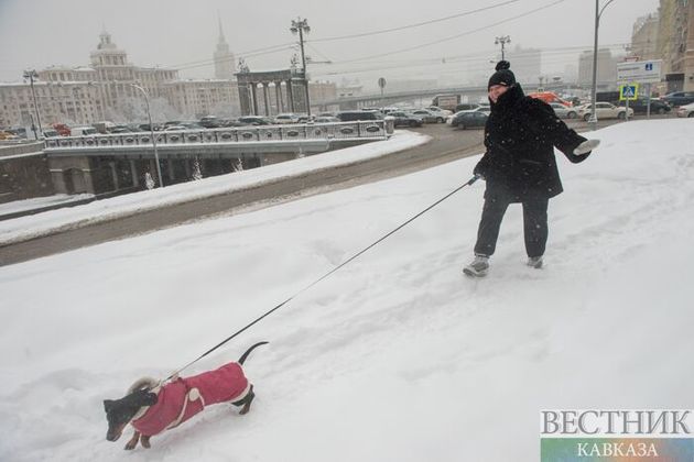 Морозный день начинается в Москве