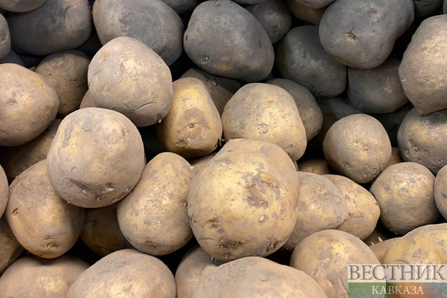  В Минсельхозе рассказали, ждать ли в России дефицита картофеля
