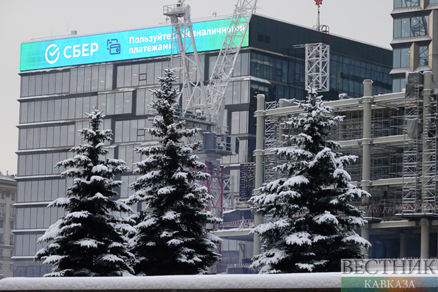 Снегопад в Москве (фоторепортаж)