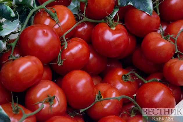 Россия открылась для томатов и яблок с еще трех предприятий Азербайджана