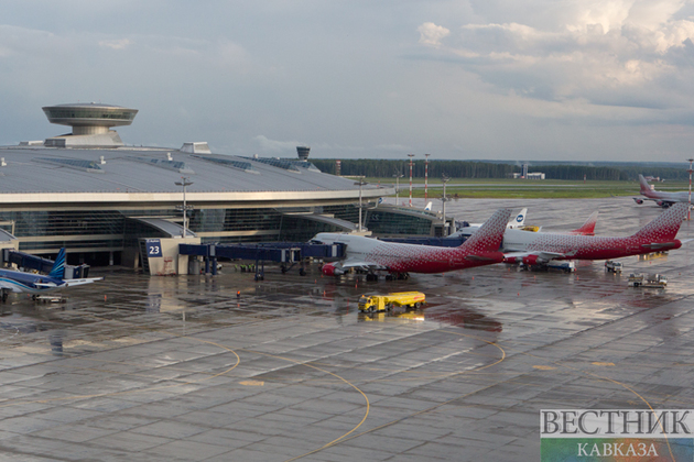 В московских аэропортах задерживаются или отменены 45 рейсов