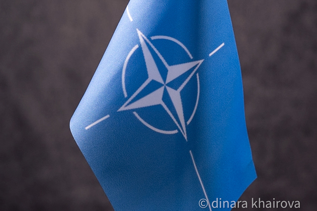 Власти США признали опасность дестабилизации ЕС новыми членами НАТО