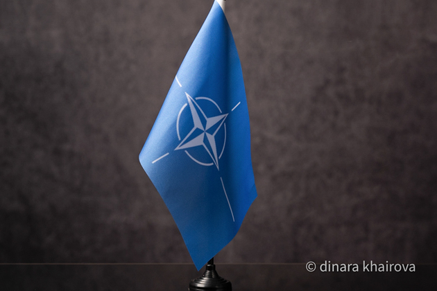 НАТО не будет посылать военнослужащих на Украину