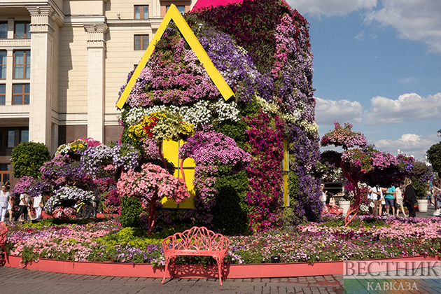 Цветочный джем в Москве (фоторепортаж)