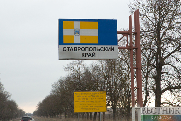 Кисловодск устроил фестиваль скандинавской ходьбы