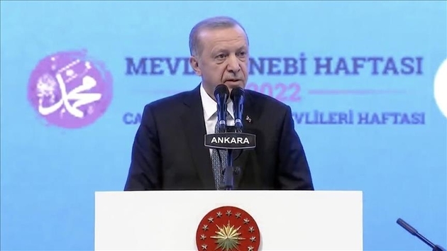 Эрдоган: Турция готова защитить свои интересы