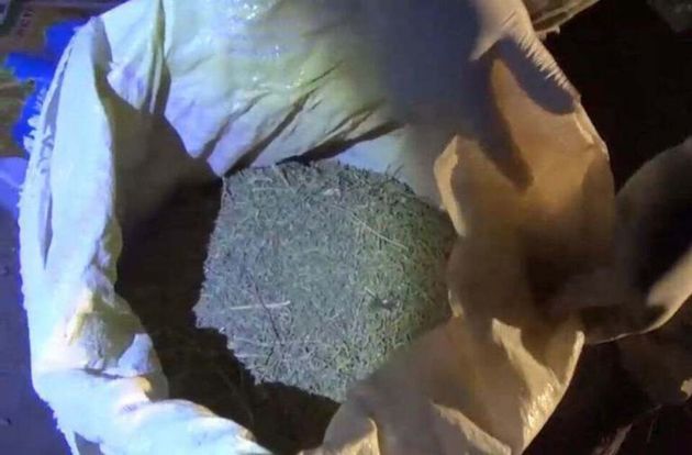 Полиция Казахстана изъяла у наркоплантатора свыше 120 кг конопли