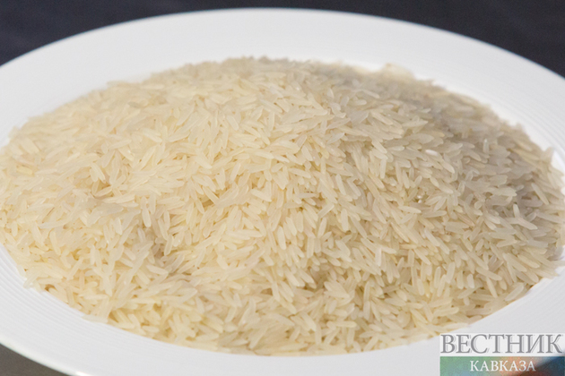 Дагестанские ученые возродили утраченный сорт риса