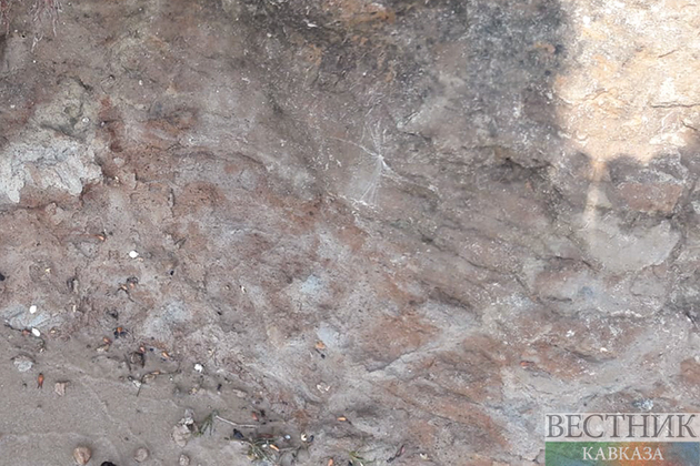 Крупнейшая стоянка древнего человека под Волгоградом изучена археологами