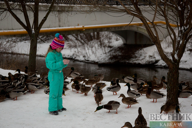 Москву 1 января ждет аномальное тепло