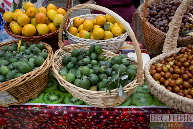 Регионы СКФО стали лидерами по сбору ягод и фруктов в 2022 году