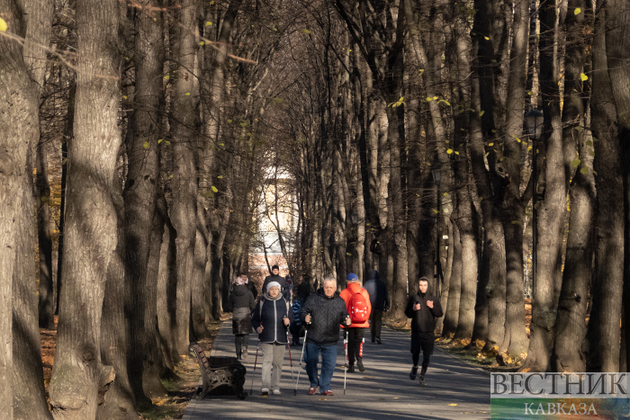 На Кубань приходит январское тепло