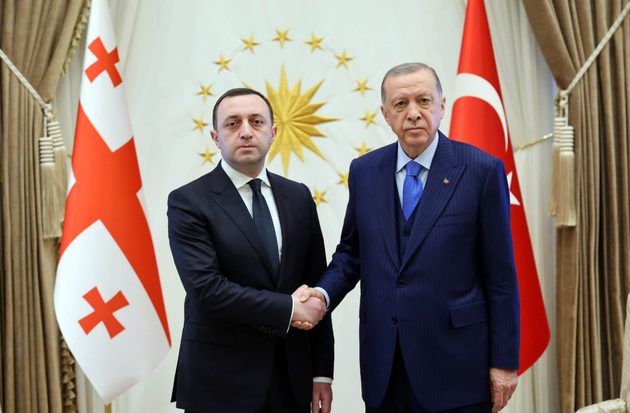 Премьер Грузии провел переговоры с президентом Турции 