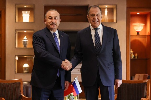 Главы МИД России и Турции обсудили зерно и Сирию