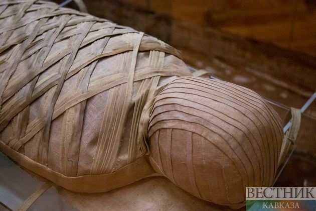 Экспонат выставки древнеегипетских мумий