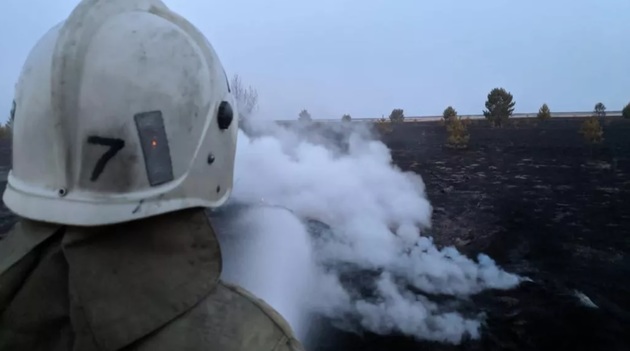 Лесной пожар перешел через границу из Казахстана в Россию