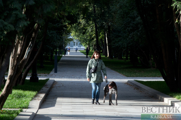 Во Владикавказе появится аллея им. Вахтангова