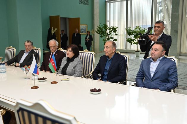 Спикер парламента Азербайджана прилетела в Москву