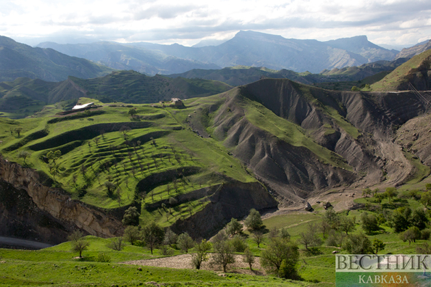 Рисовые поля в Дагестане вырастут