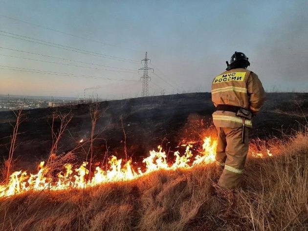 Лесной пожар