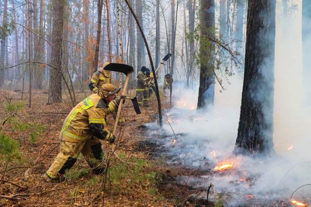 Лесной пожар