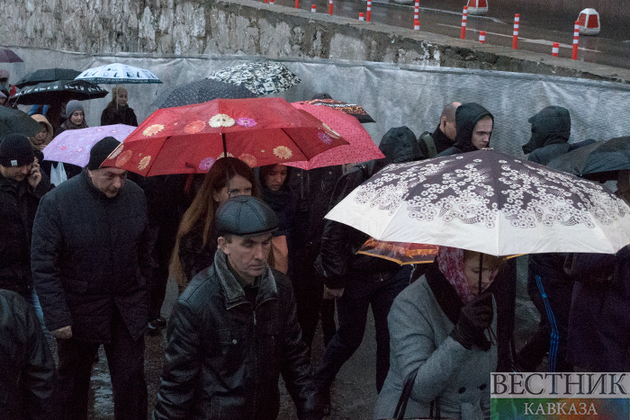 Москва под дождем прогреется до +20